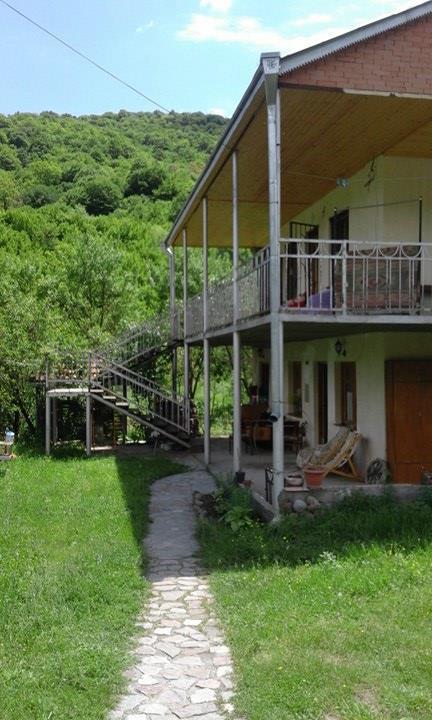 Marine'S Guest House Ananuri Dış mekan fotoğraf