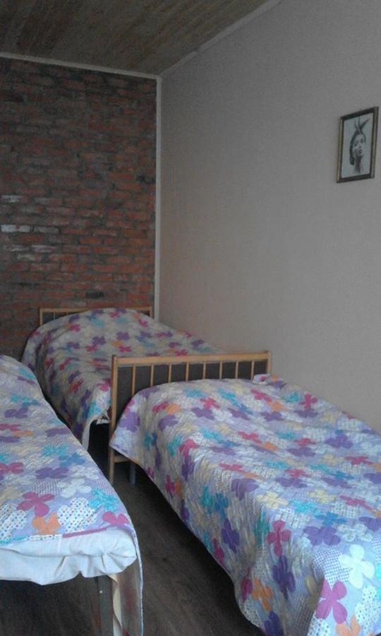 Marine'S Guest House Ananuri Dış mekan fotoğraf