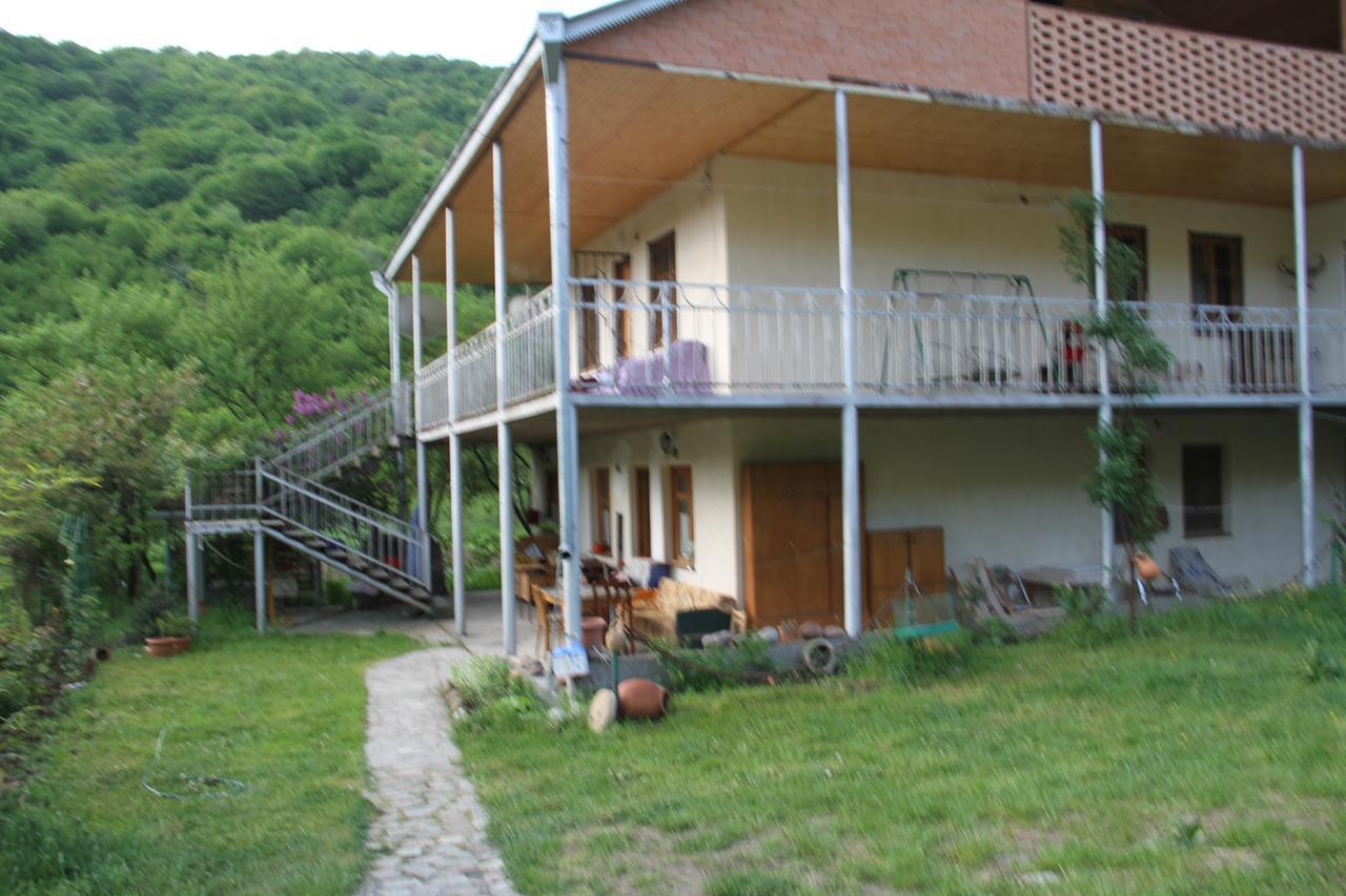 Marine'S Guest House Ananuri Dış mekan fotoğraf