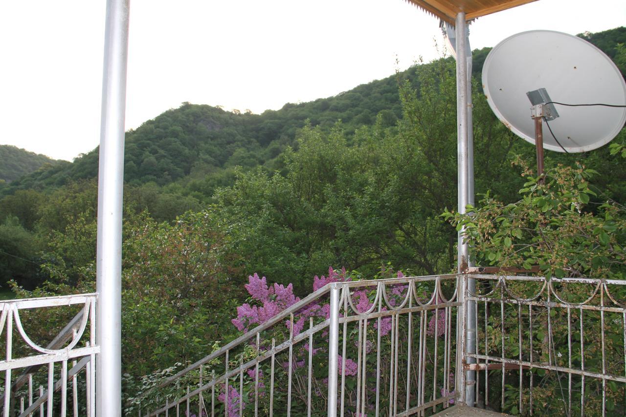 Marine'S Guest House Ananuri Dış mekan fotoğraf