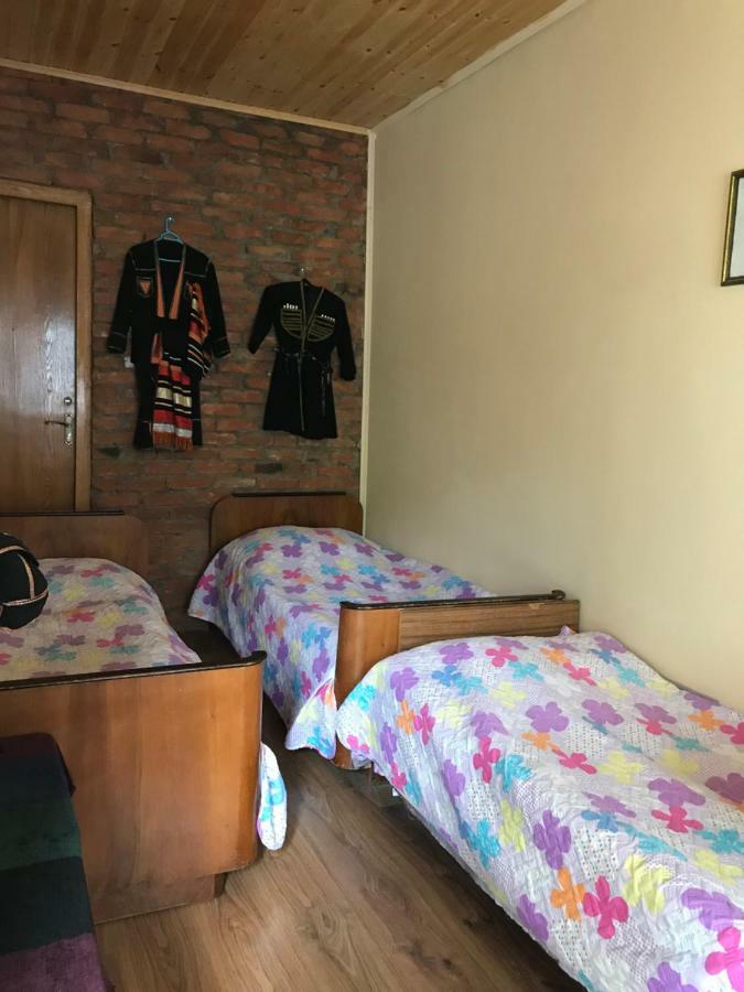 Marine'S Guest House Ananuri Dış mekan fotoğraf